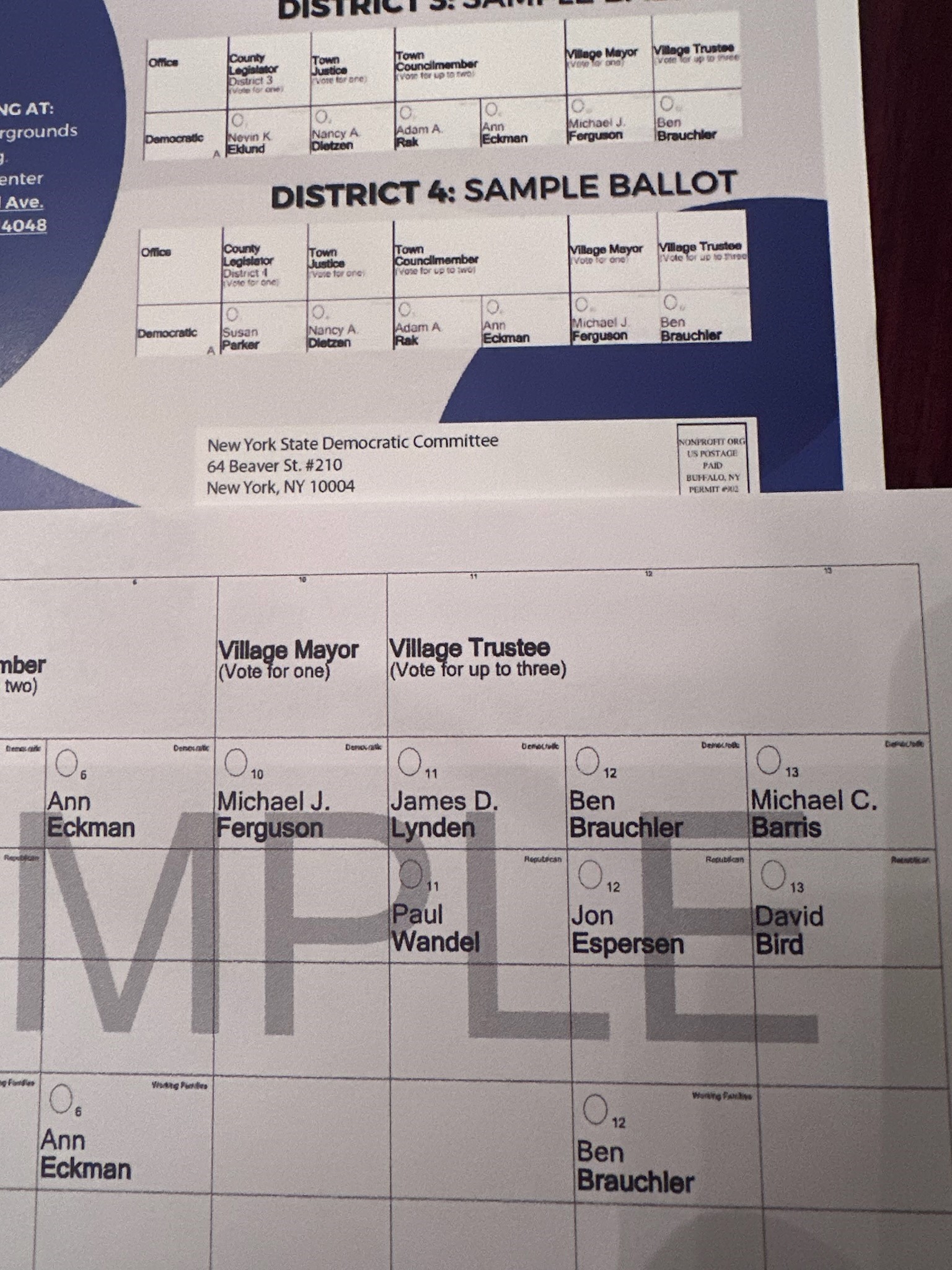Mailer 'integrity' questioned by local resident | News, Sports, Jobs - Vimarsana News